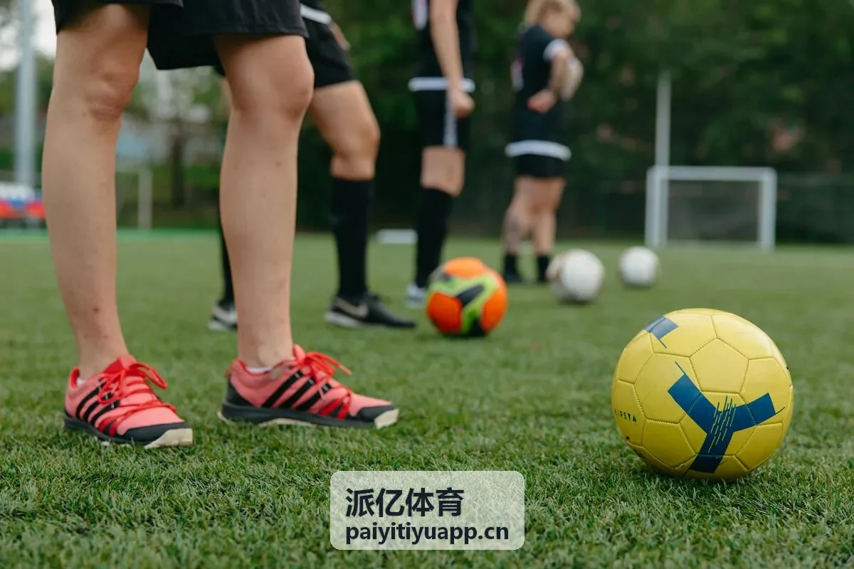 派亿体育解决方案概览